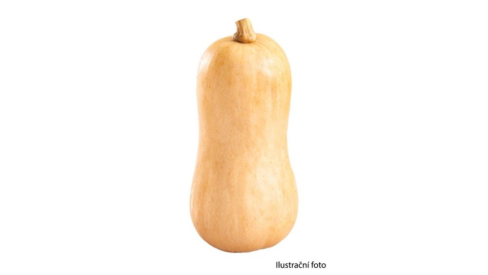 Dýně máslová