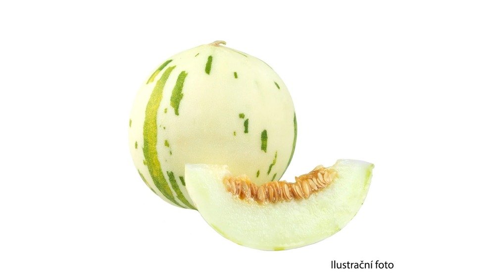 Meloun Snowball