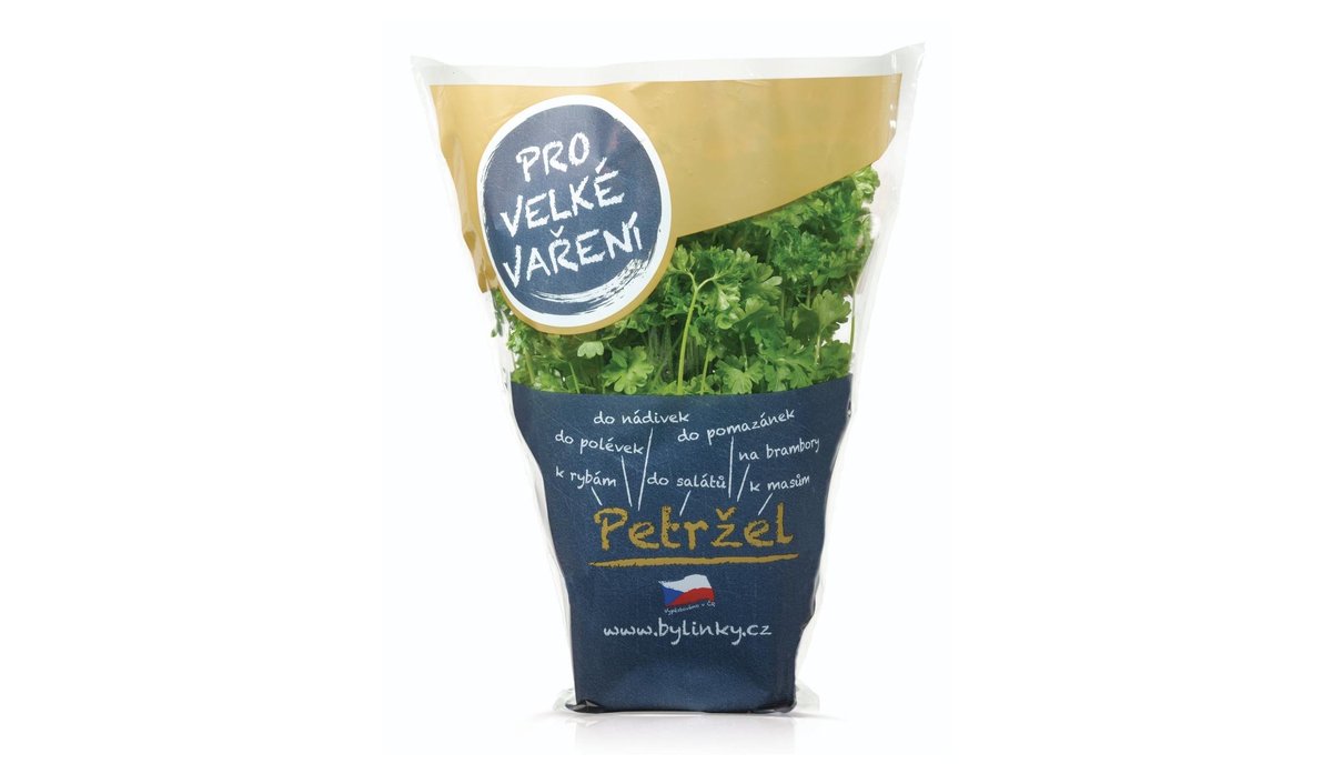 Petržel Velké vaření v květináči 1 ks
