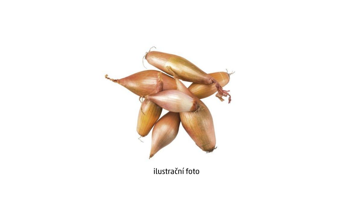 Cibule šalotka balená
