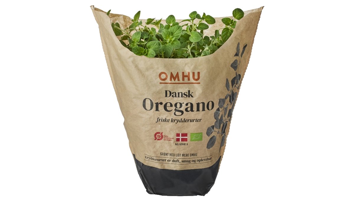 Øko-oregano stor Omhu