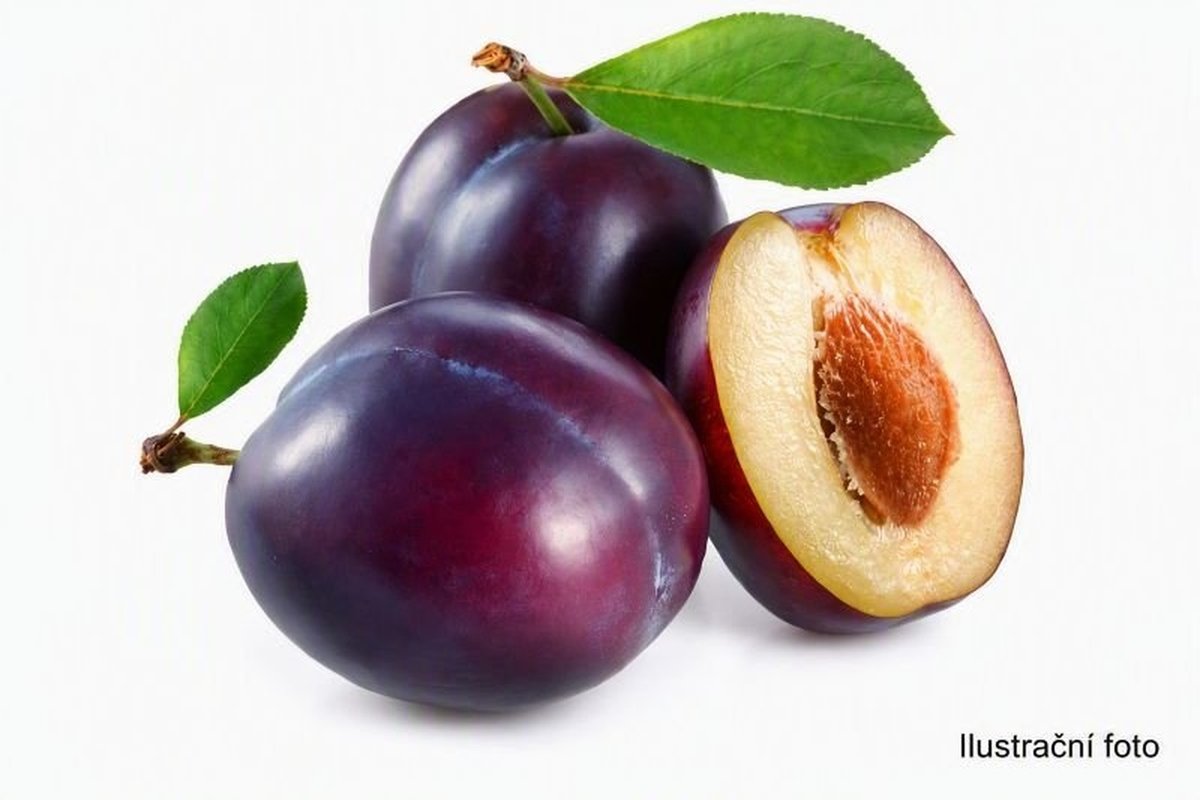 Švestky 500g