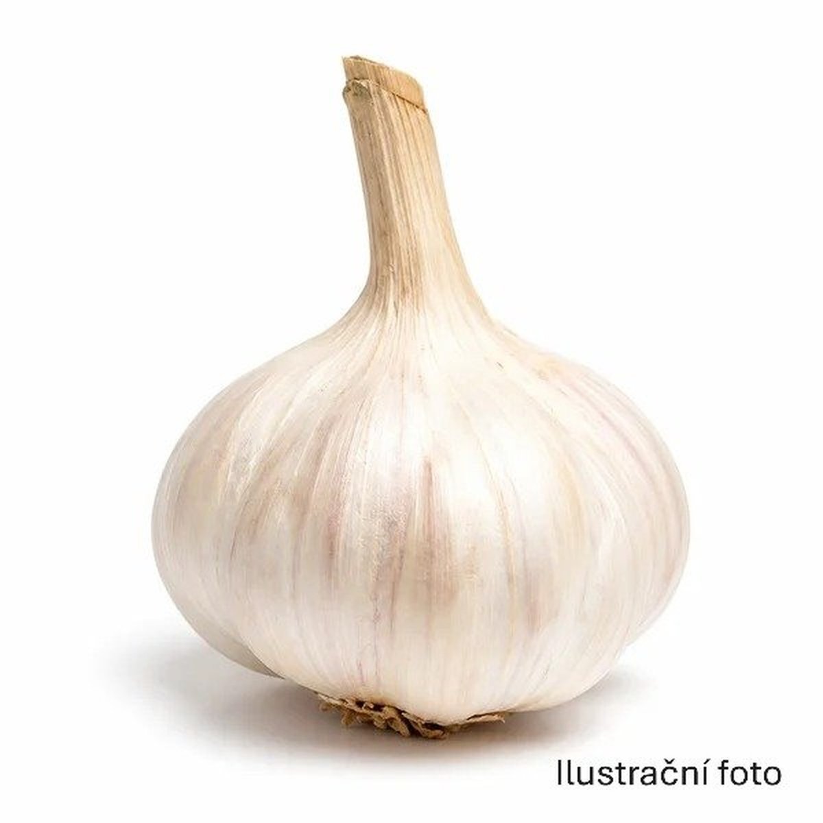 Česká Farma Česnek paličák 2ks