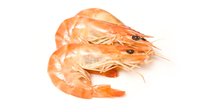 Objednať Krevety celé vařené (min.porce 700g)