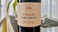 Objednať Pinot Grigio, Villa Folini, Collio D.O.C.