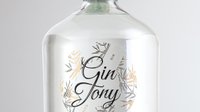 Objednať Gin Tony 0,5 l
