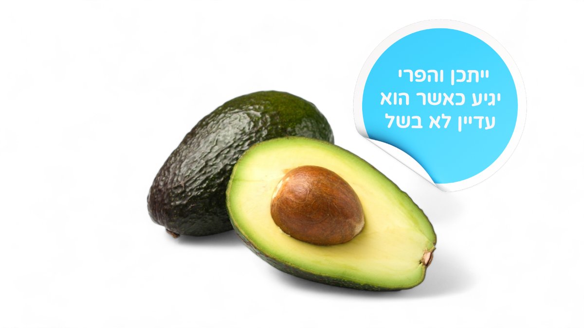 תמונת המוצר 1