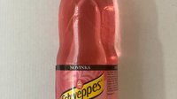 Objednať Schweppes Pink Tonic 0,5l