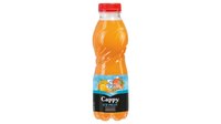 Hozzáadás a kosárhoz Cappy Ice Fruit Multivitamin szénsavmentes vegyesgyümölcs ital mangosztán ízesítéssel 500 ml