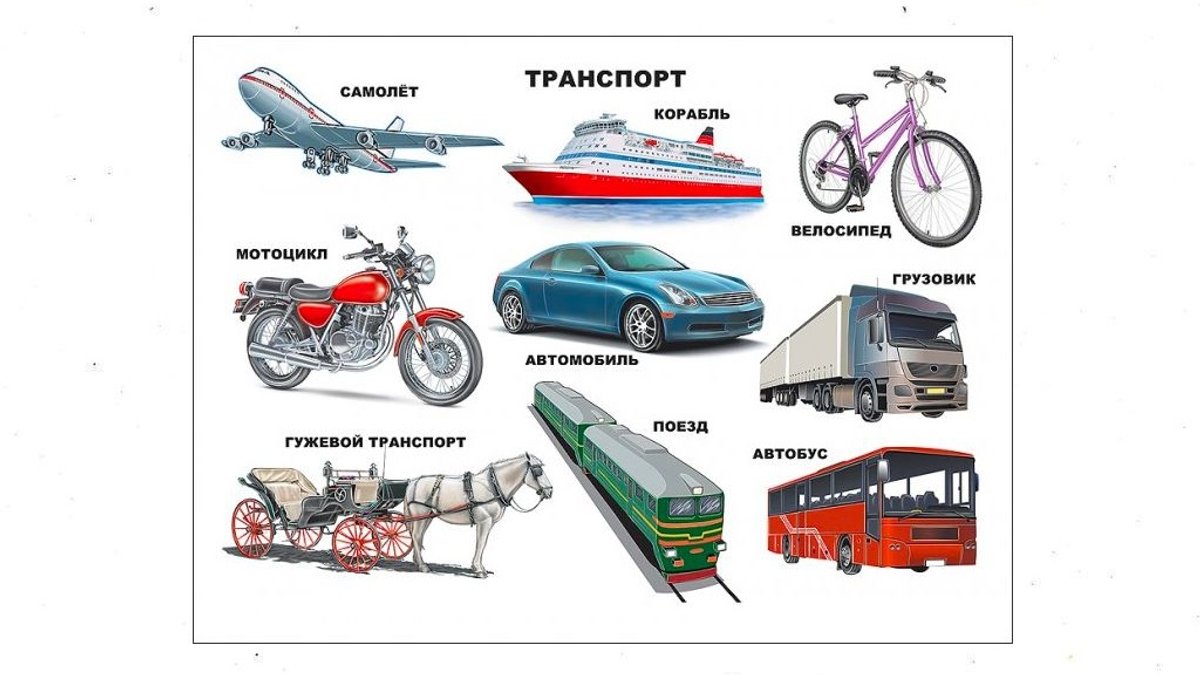 Наземный транспорт картинки