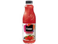 Objednať Cappy Juice Wild Berries 🍓