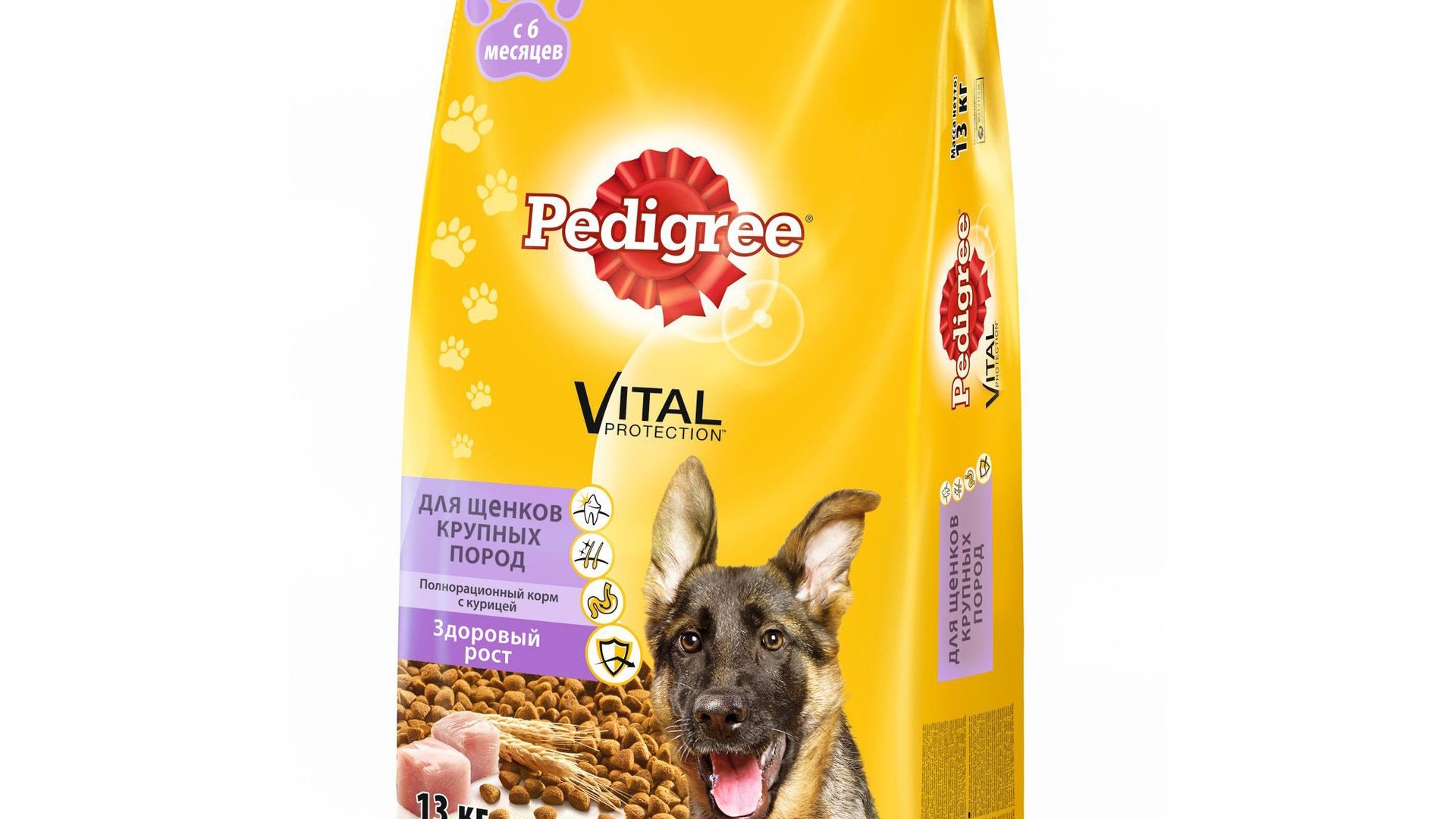 Корм pedigree для собак 13 кг. Корм Педигри для щенков крупных пород. Педигри для крупных пород 13 кг. Собака Педигри порода.