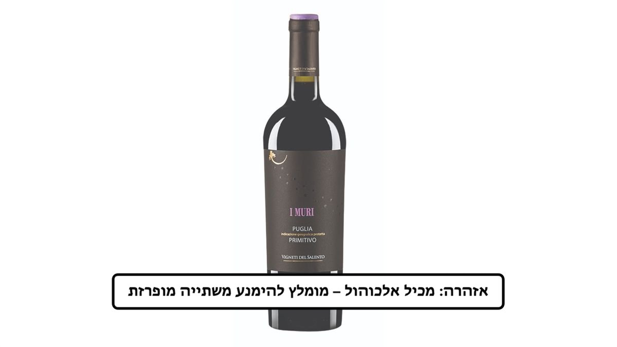 תמונת המוצר 1