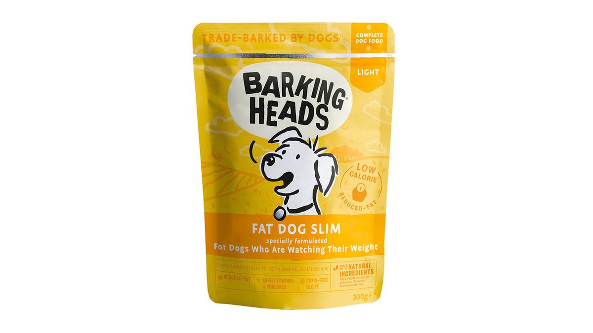 barking heads light