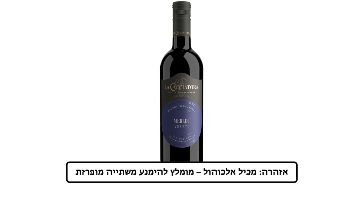 תמונת המוצר 1