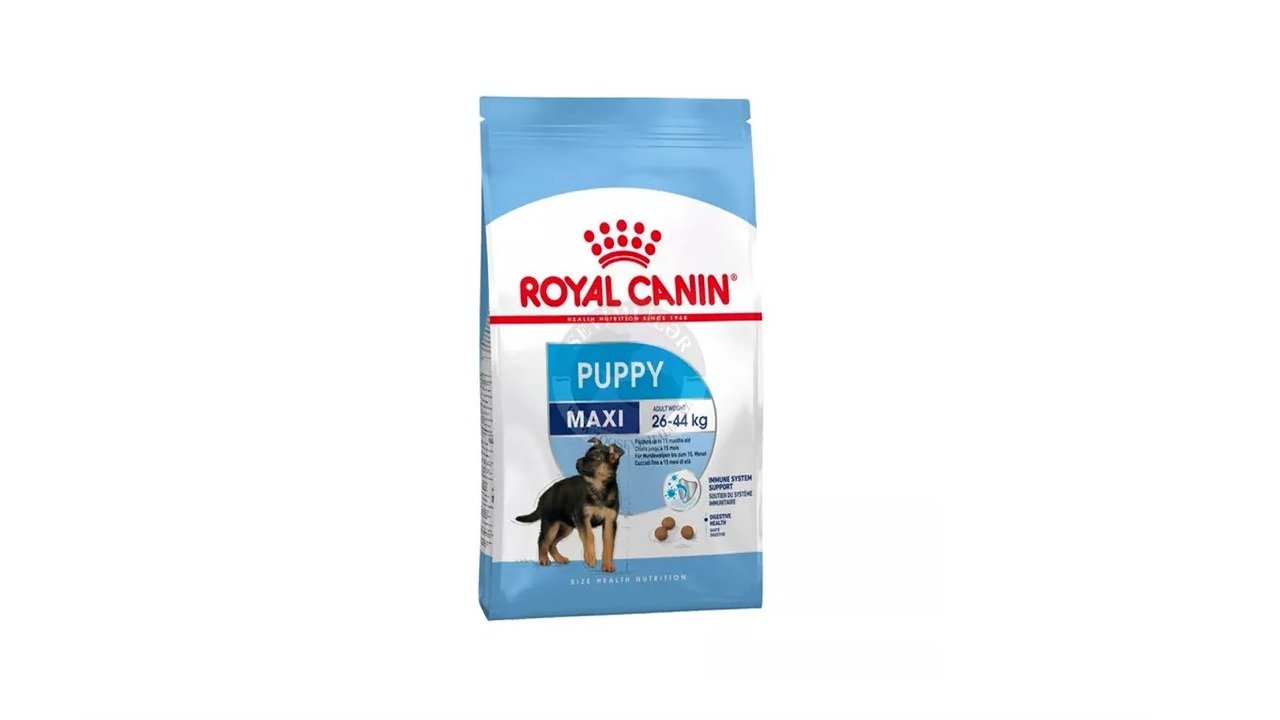 Роял канин мини эдалт 15 кг. Royal canin maxi. Корм royal canin для собак puppy для щенков крупных пород. Роял канин макси 3 кг. Корм royal canin maxi puppy.