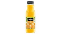 Objednať Cappy Juice pomaranč