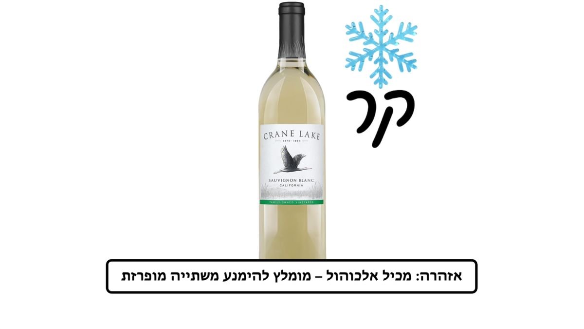 תמונת המוצר 2