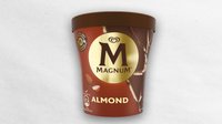 Objednať Magnum almond remix 440 ml