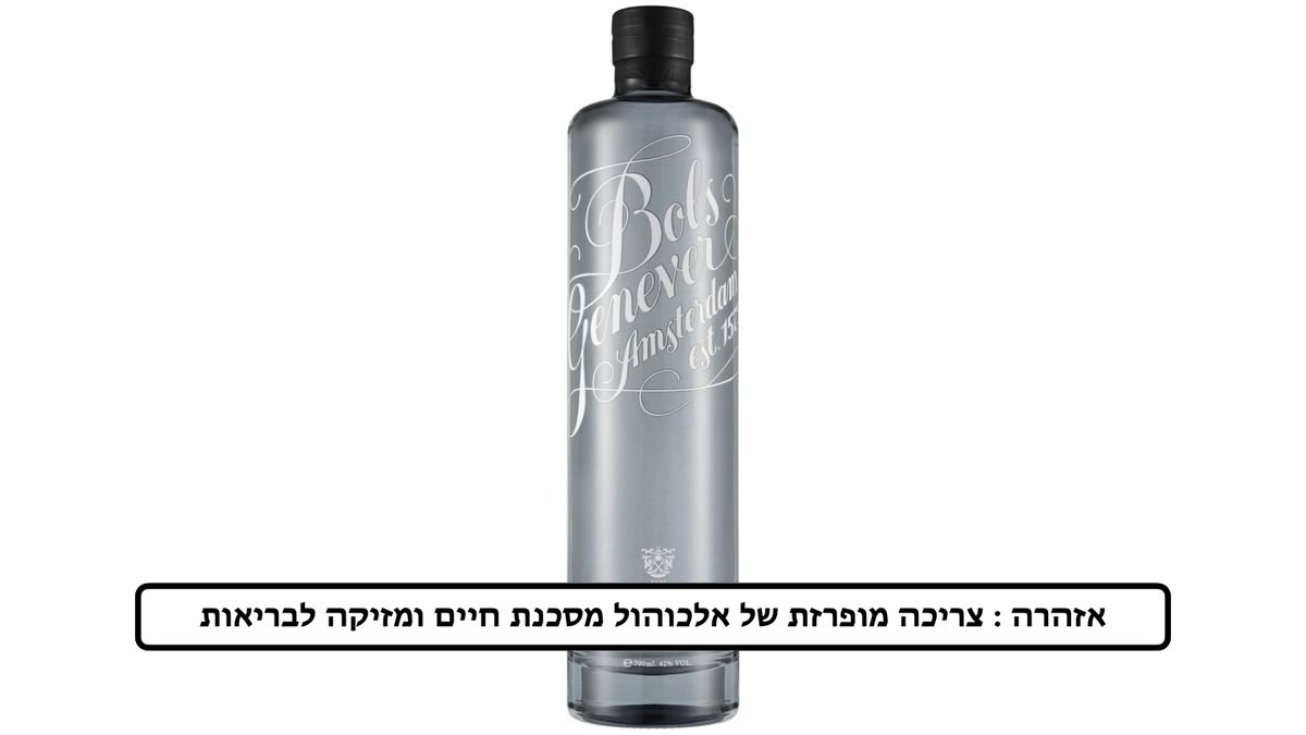 תמונת המוצר 2