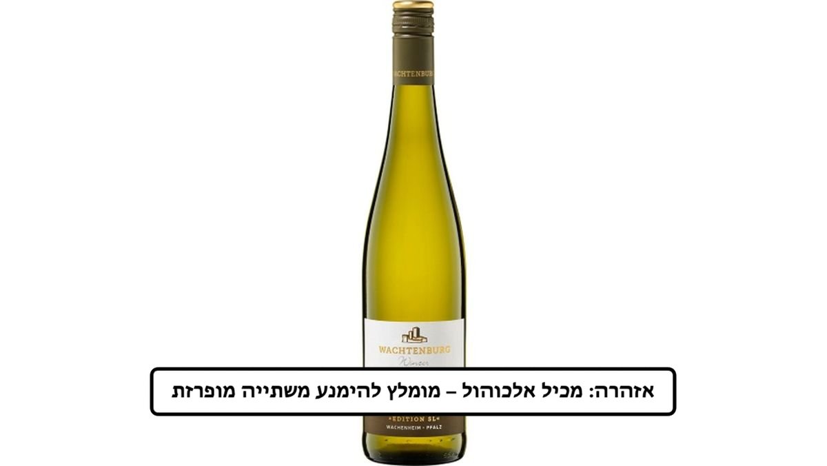 תמונת המוצר 1