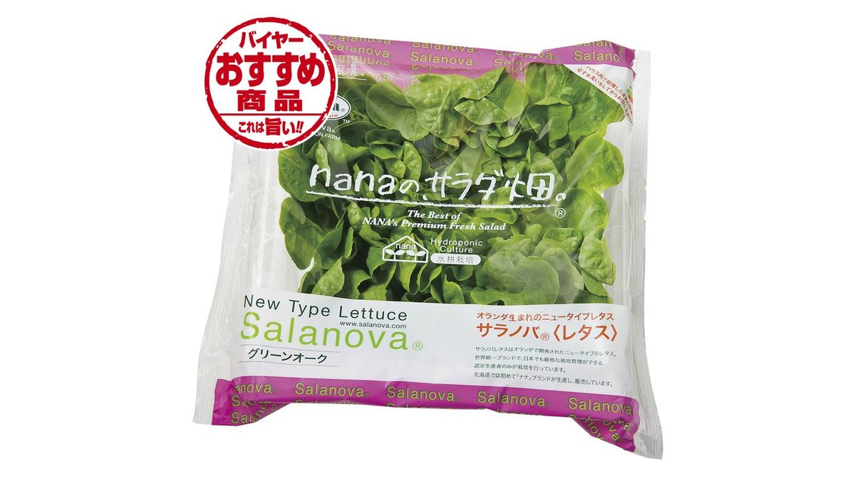 小動物用 乾燥野菜セット セロリの葉 人参 春菊 大葉 - その他