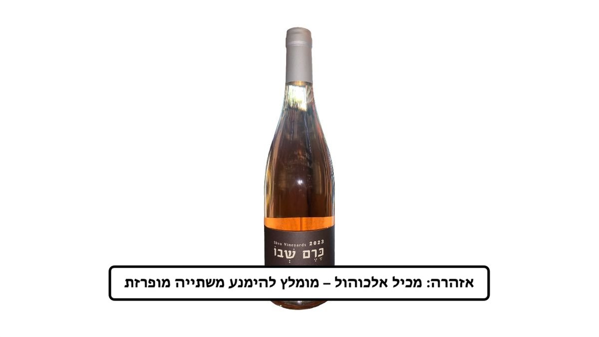 תמונת המוצר 1