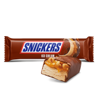 Objednať Snickers zmrzlina 48g