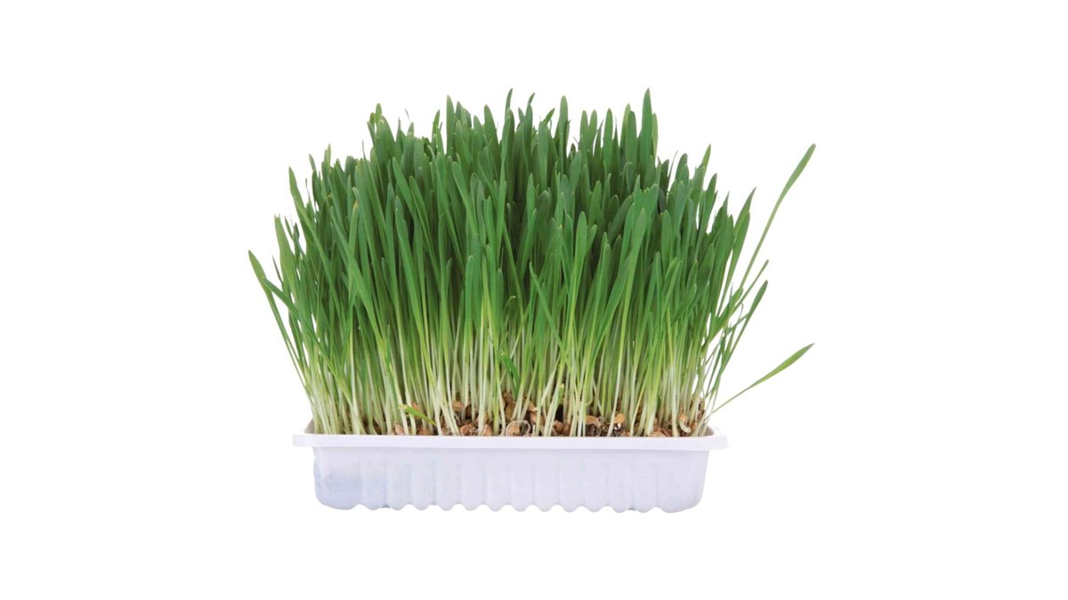 Fotografija artikla 1