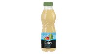 Hozzáadás a kosárhoz Cappy Ice Fruit Alma-Körte 12% 0,5 l