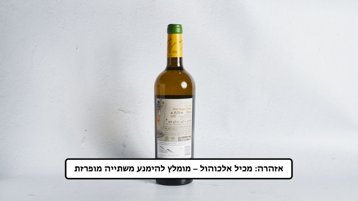 תמונת המוצר 2