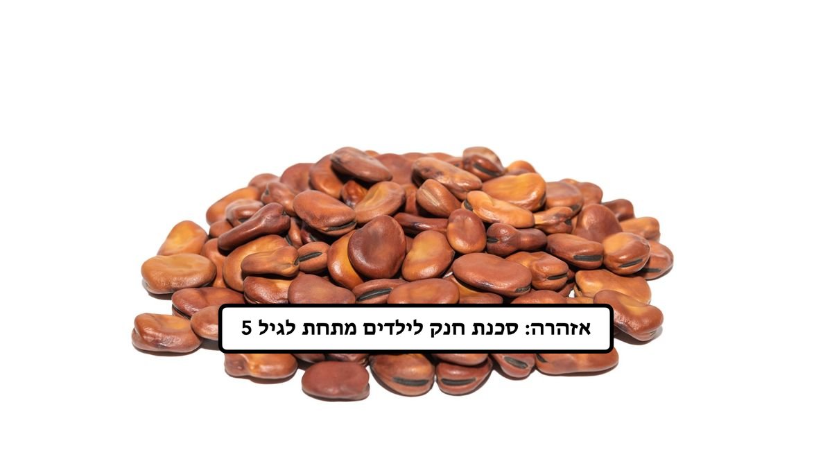 תמונת המוצר 1