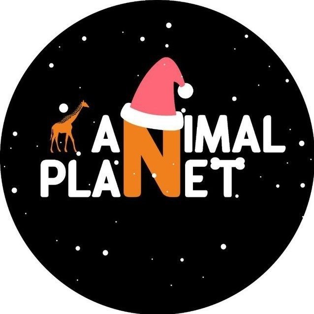 Animal Planet