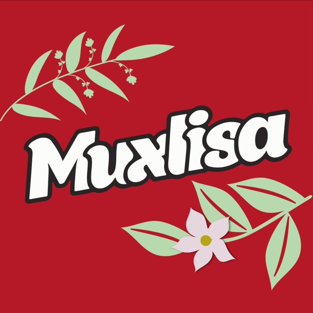 Muxlisa Somsa Food