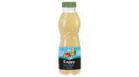 Hozzáadás a kosárhoz Cappy Ice Fruit Alma-Körte szénsavmentes vegyesgyümölcs ital bozdavirág ízesítéssel 500 ml