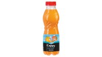 Hozzáadás a kosárhoz Cappy Ice Fruit Multivitamin vegyesgyümölcs ital mangosztán ízesítéssel 500 ml