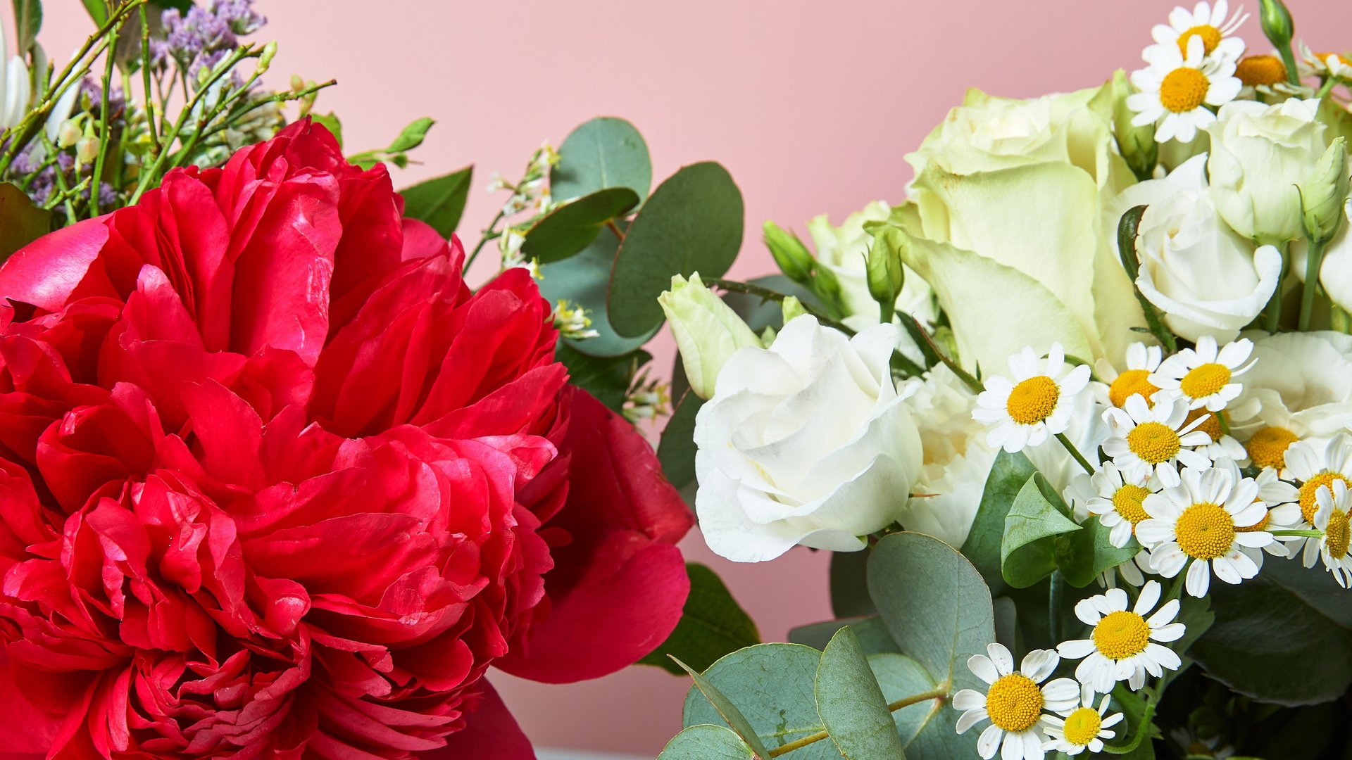 Bilder Von Blumen Und Pflanzen Berlin Gala Blumen & Pflanzen | Wolt | Delivery | Berlin